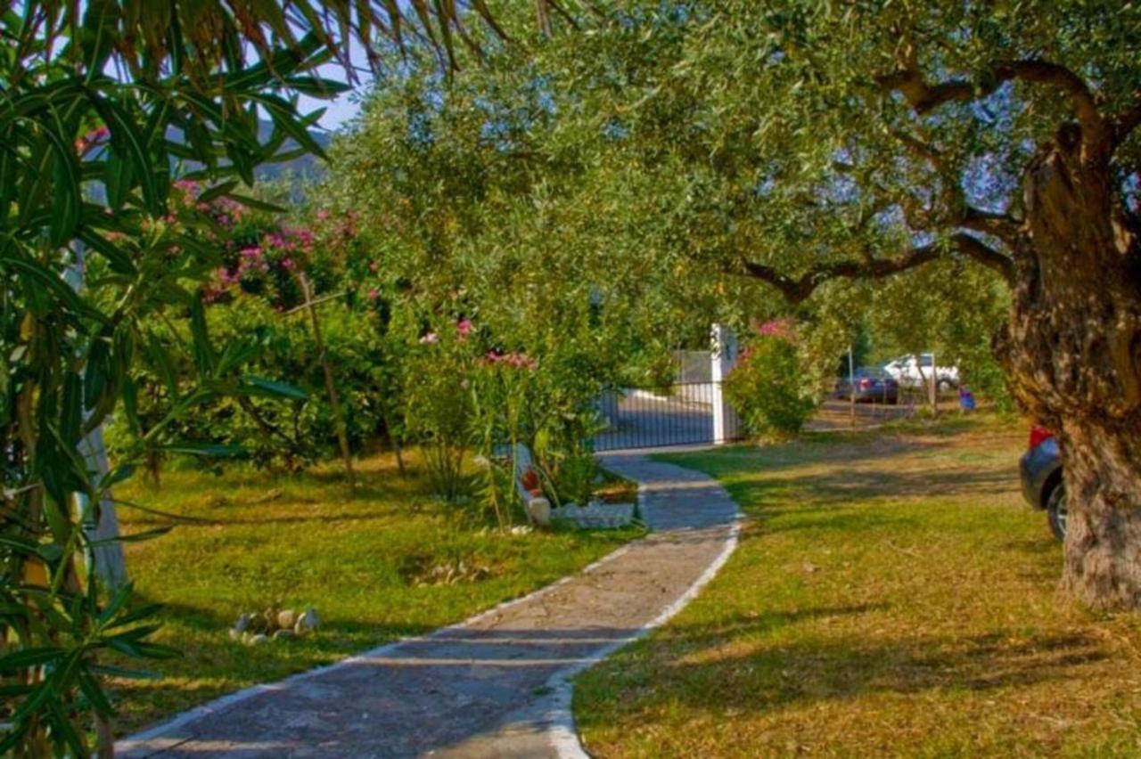 Blue Bay Beach Hotel Koinira Buitenkant foto